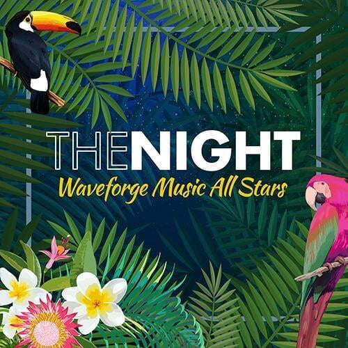 The Night by Waveforge Music All Stars