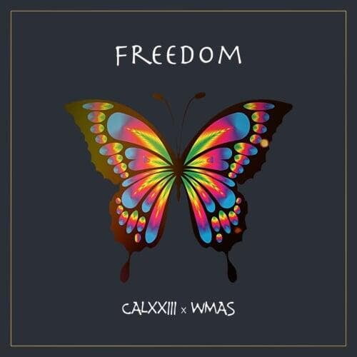 Freedom by CALXXIII x Waveforge Music All Stars