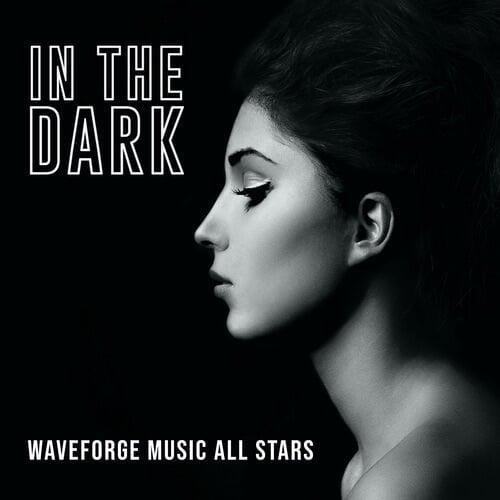 In The Dark by Waveforge Music All Stars